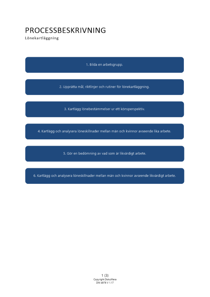 Processbeskrivning - Lönekartläggning