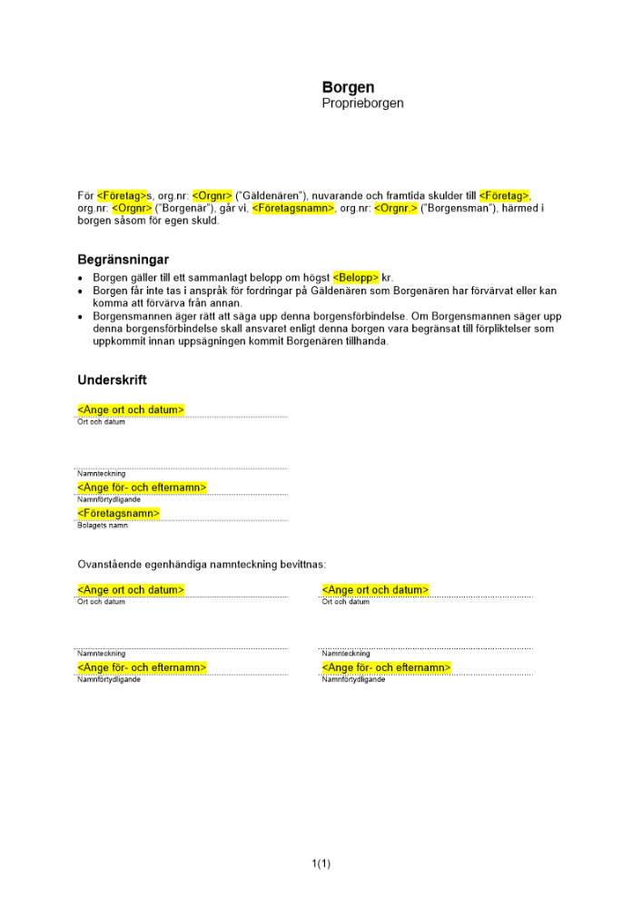 Proprieborgen av företag (Generell men begränsad till belopp mm)