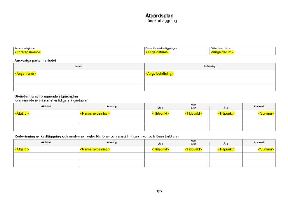 8. Åtgärdsplan - Lönekartläggning
